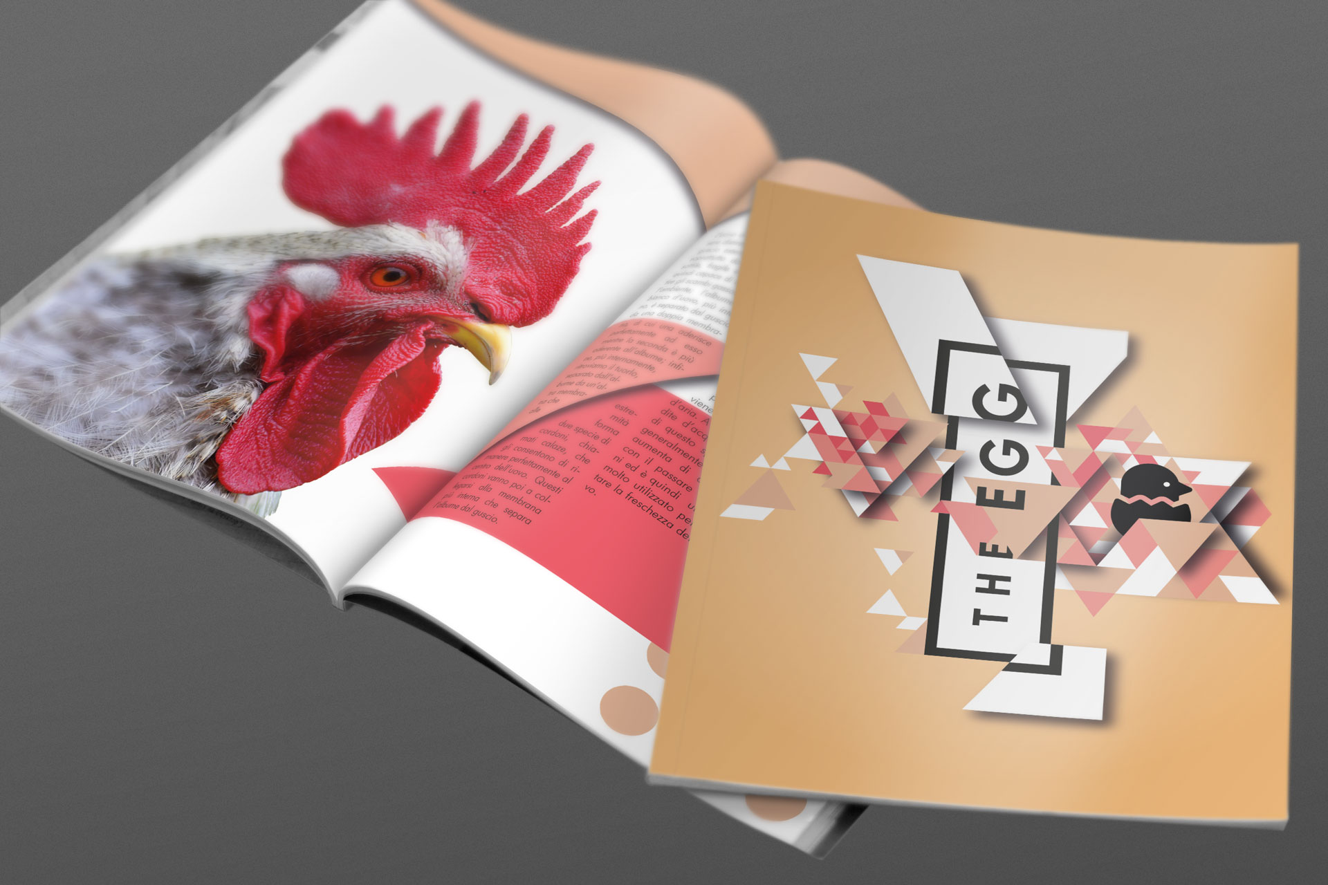 Fanzines