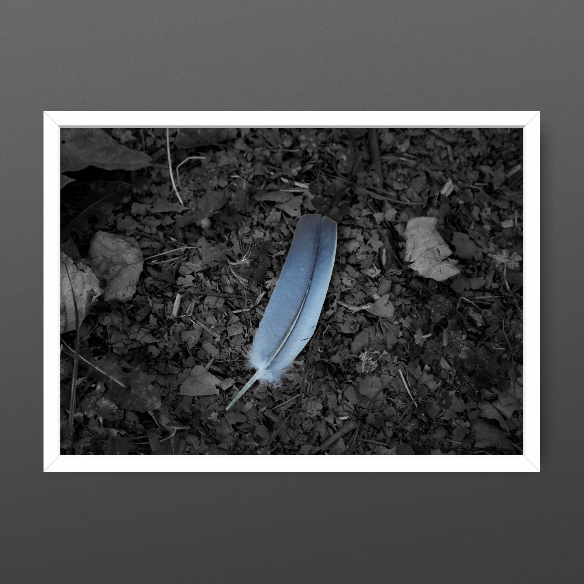 Feather