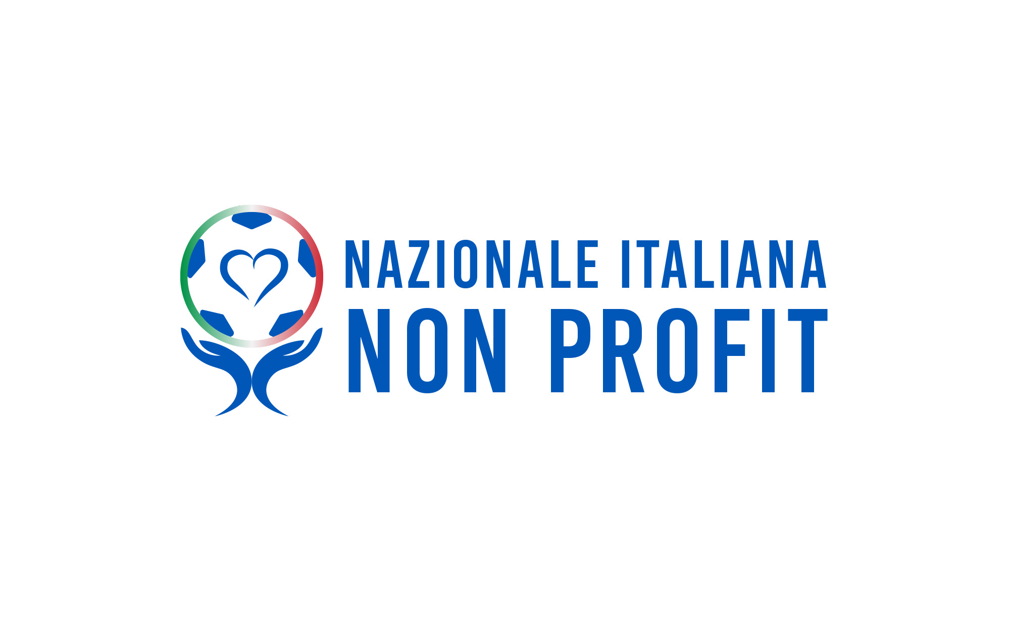 Nazionale Italiana Non Profit logo