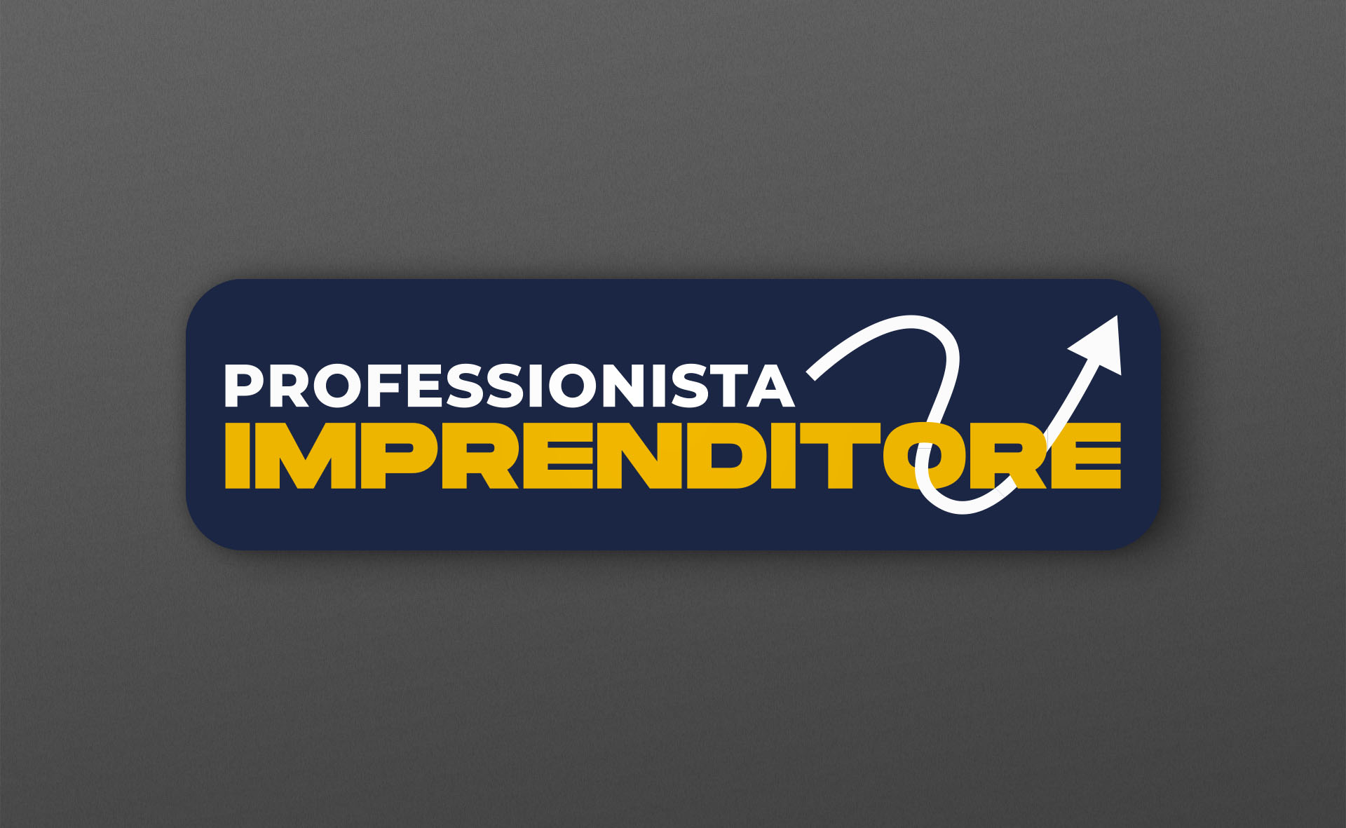 Professionista Imprenditore